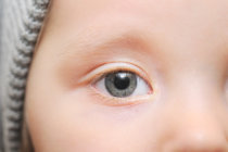 Diferenças entre Oftalmologia, Optometria e Ortóptica Diferenças entre Oftalmologia, Optometria e Ortóptica