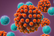 Doen&ccedil;as metab&oacute;licas heredit&aacute;rias e adquiridas: entenda as diferen&ccedil;as e quando suspeitar