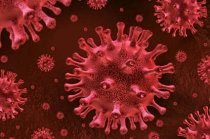 Infecção pelo HIV: o que precisamos saber?