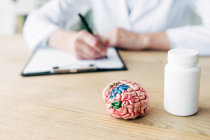 Malformações dos hemisférios cerebrais
