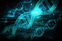 Síndrome de Bloom: o desafio oncológico de uma doença rara Síndrome de Bloom: o desafio oncológico de uma doença rara