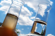 Verme da Guiné ou dracunculíase: como ocorre, como diagnosticar e como tratar Verme da Guiné ou dracunculíase: como ocorre, como diagnosticar e como tratar