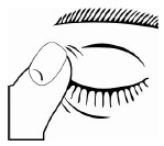 Dorzal Mt