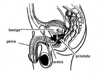 Finastil