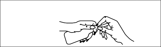 Phosfoenema