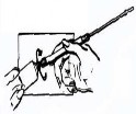 Tricocilin B